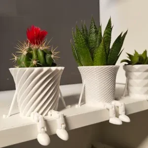 Mini familia de macetas de cactus