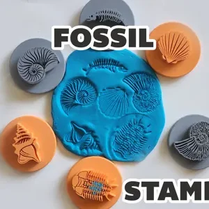Sellos Fósiles