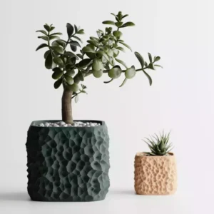 Maceta Terraforma (6 cm)